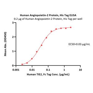 Human Angiopoietin-2 / ANGPT2 Protein