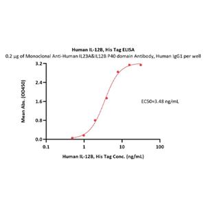 Human IL-12B Protein