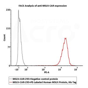 PE-Labeled Human Mesothelin / MSLN (296-580) Protein, His Tag (Site-specific conjugation)