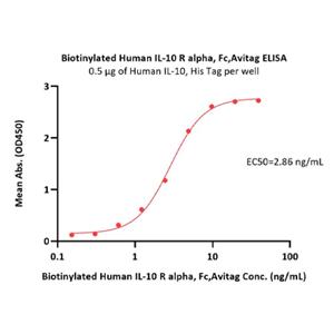 Human IL-10Rα Protein