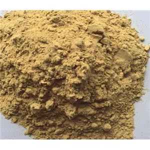 N-Hydroxysuccinimide