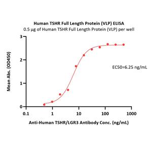 Human TSHR Full Length Protein (VLP)