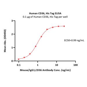 Human CD36 / SR-B3 Protein