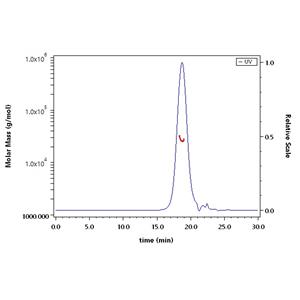 Human CD300a / LMIR1 Protein