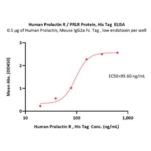 Prolactin R / PRLR Protein