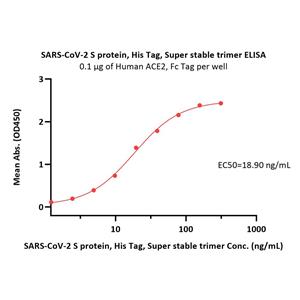 SARS-CoV-2 S protein