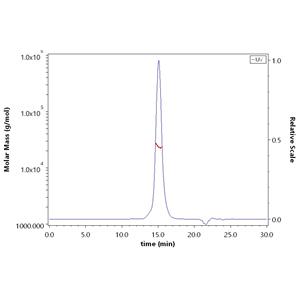 Human BTLA (31-150) Protein