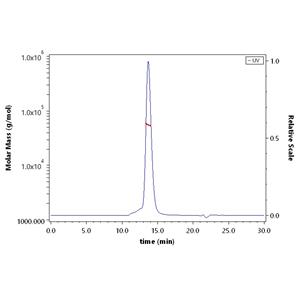 Human CD155 / PVR Protein