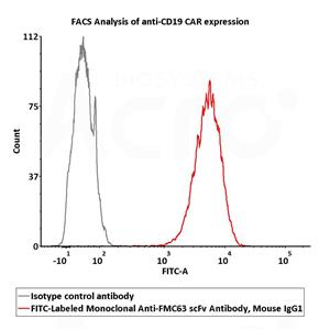 APC-Labeled Monoclonal Anti-FMC63 Antibody