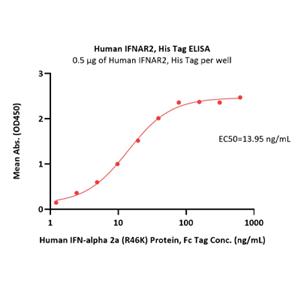 IFN-alpha/beta R2 Protein