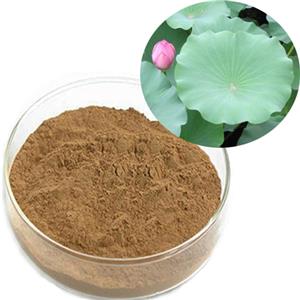 Lotus leaf extract