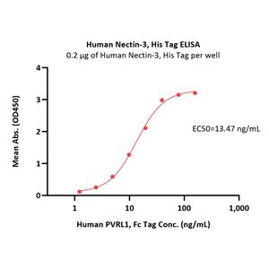 Human Nectin-3 / CD113 Protein