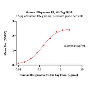 Human IFNGR1 Protein