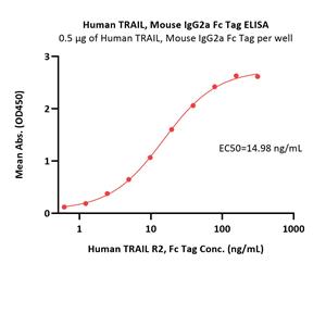 Human TRAIL R2 / DR5 / TNFRSF10B Protein