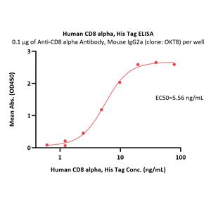 Human CD8 alpha / CD8A Protein