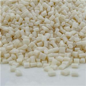 Polytrimethylene terephthalate/ PTT