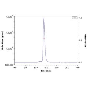 Human CD8 alpha / CD8A Protein