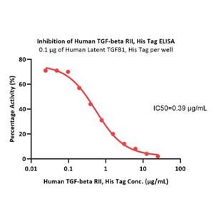 Human TGFBR2 Protein
