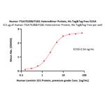 ITGA7X2B&ITGB1 Protein pictures