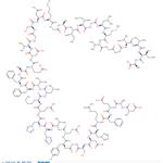 107761-42-2 Amyloid β-Peptide (1-42)