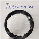 94-24-6 Tetracaine base