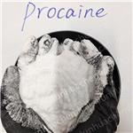 59-46-1 Procaine base