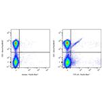 Pacific Blue Armenian hamster Anti-Mouse TCR γ/δ Antibody (S-R525) pictures