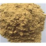 6066-82-6 N-Hydroxysuccinimide