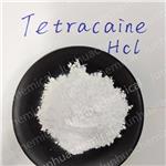 136-47-0 Tetracaine hydrochloride