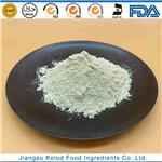 10058-44-3 FERRIC PYROPHOSPHATE