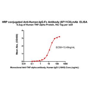 HRP conjugated Anti-Human-IgG-Fc Antibody