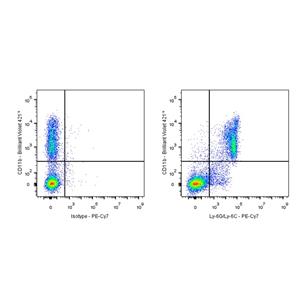 PE-Cy7 Rat Anti-Mouse Ly-6G/Ly-6C (Gr-1) Antibody (S-R425)