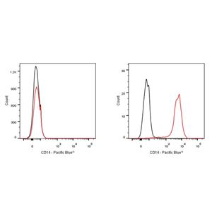 Pacific Blue Rat Anti-Mouse CD14 Antibody (S-R609)