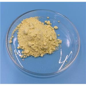 Sodium Ferrous Citrate