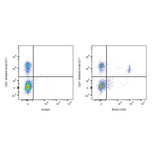 Biotin Rat Anti-Mouse CD8α Antibody (S-R381)