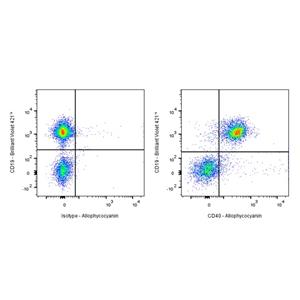 APC Rat Anti-Mouse CD40 Antibody (S-R456)