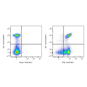 Pacific Blue Armenian hamster Anti-Mouse TCR β Antibody (S-R616)