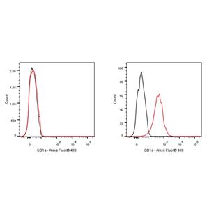 Alexa Fluor 488 Mouse Anti-Human CD1a Antibody (S-R527)