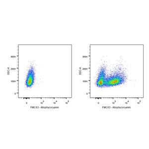 FMC63 Recombinant Rabbit mAb (APC Conjugate) (S-2163-77)