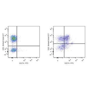FITC Mouse Anti-Human CD274 Antibody (S-R658)