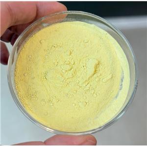 Sodium Ferrous Citrate