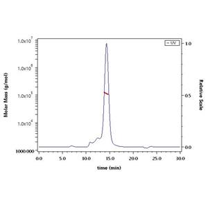 SARS-CoV-2 (COVID-19) S1 protein