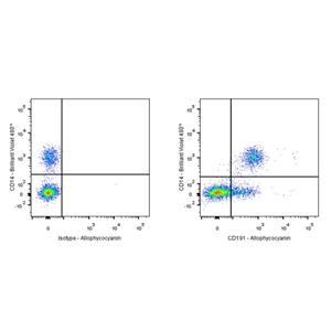 APC Mouse Anti-Human CD191 Antibody (S-3286)