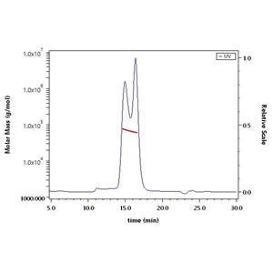 Varicella zoster virus Envelope Glycoprotein E (gE)