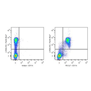 PE-Cy7 Rat Anti-Mouse/Human CD11b Antibody (S-R574)