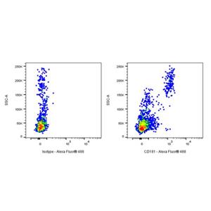 Alexa Fluor 488 Mouse Anti-Human CD181 Antibody (S-3490)