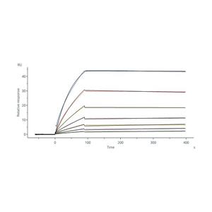 Rabies virus (strain CVS-11) Glycoprotein G