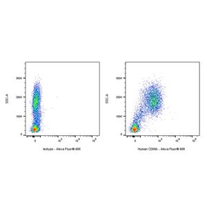 Alexa Fluor 488 Mouse Anti-Human CD66b Antibody (S-3042)
