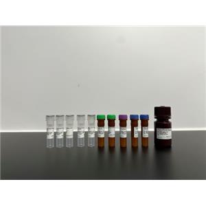 AMPK Signaling MiniAb Kit（Human）