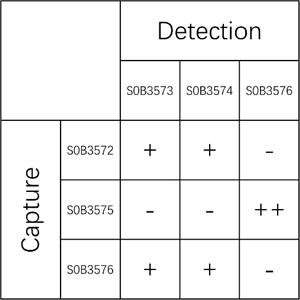 Mouse IL-13 Recombinant mAb (SDT-2177-24)